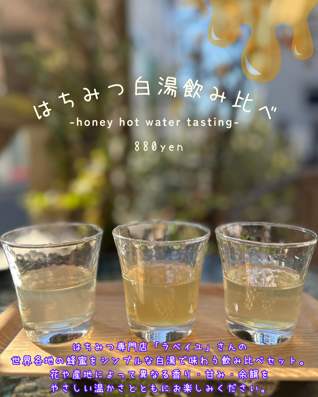 はちみつ白湯飲み比べ 始めました